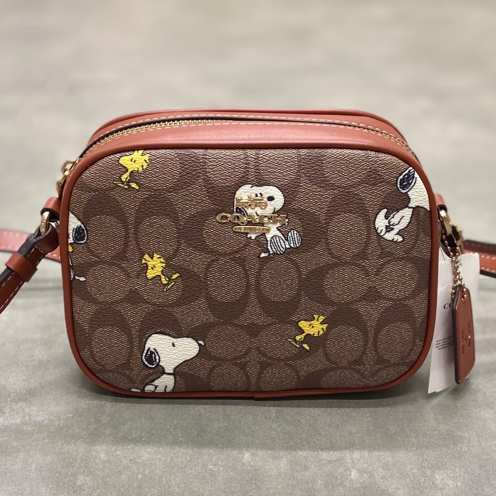 Túi Coach X Peanuts Mini Jamie Camera Bag In Signature Canvas With Snoopy Woodstock Print DS Brown