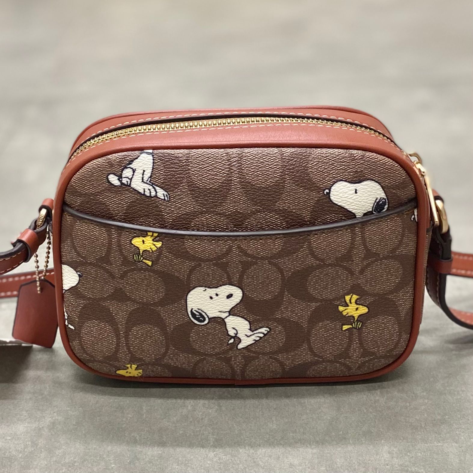 Túi Coach X Peanuts Mini Jamie Camera Bag In Signature Canvas With Snoopy Woodstock Print DS Brown