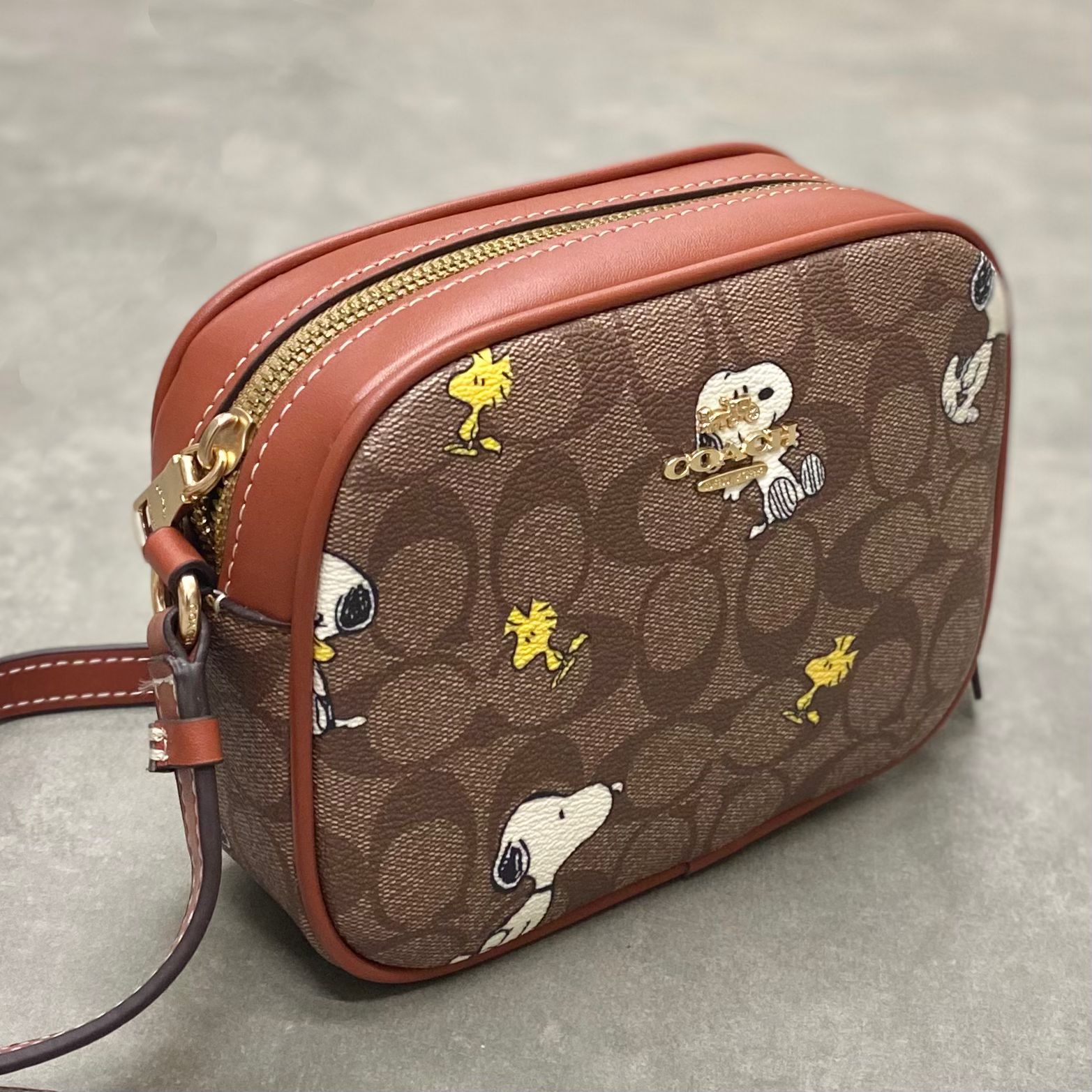 Túi Coach X Peanuts Mini Jamie Camera Bag In Signature Canvas With Snoopy Woodstock Print DS Brown