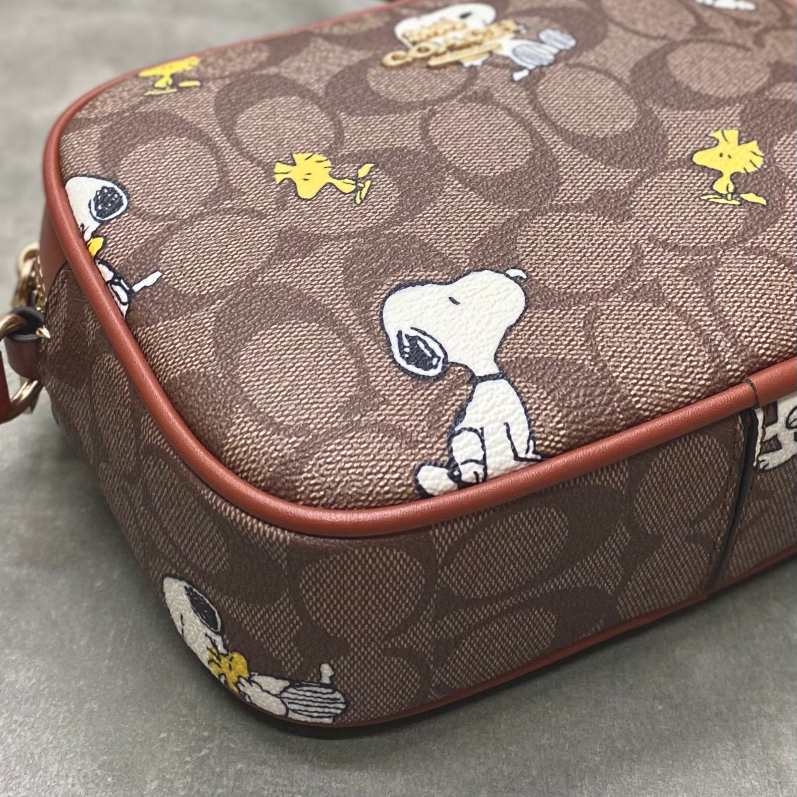 Túi Coach X Peanuts Mini Jamie Camera Bag In Signature Canvas With Snoopy Woodstock Print DS Brown